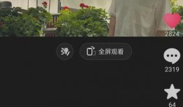 董宇辉视频爆料最新一期,揭秘一期热门视频背后的故事
