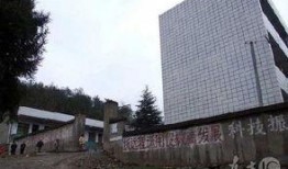 湖北襄樊市爆料事件最新,揭秘背后真相与影响