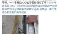 绿城纵火爆料最新消息视频