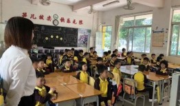 重庆小学爆料事件最新,揭开校园安全与管理的隐秘面纱