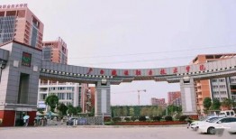 广西建院爆料最新消息,揭秘重大工程进展与幕后故事